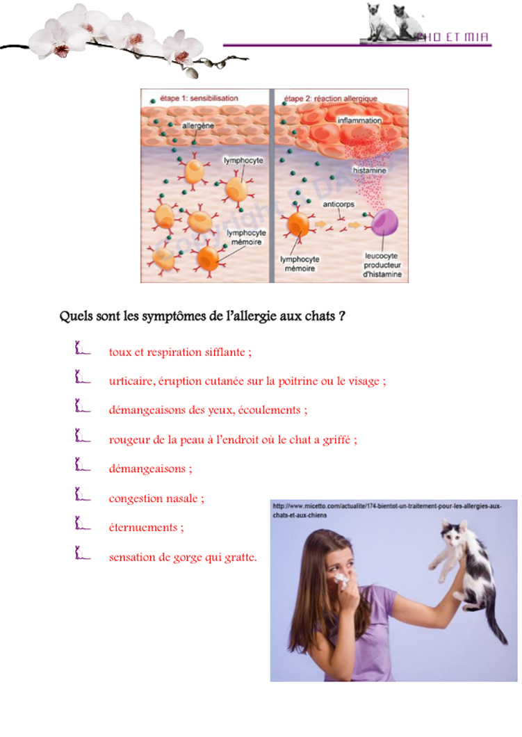 Allergique aux chats (gliss(e)s)