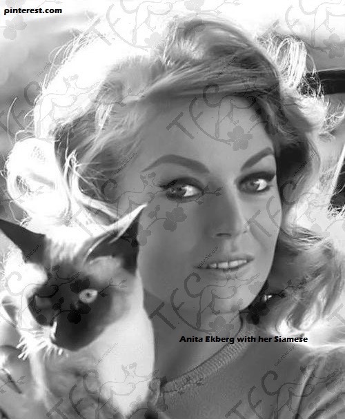 Anita Ekberg1