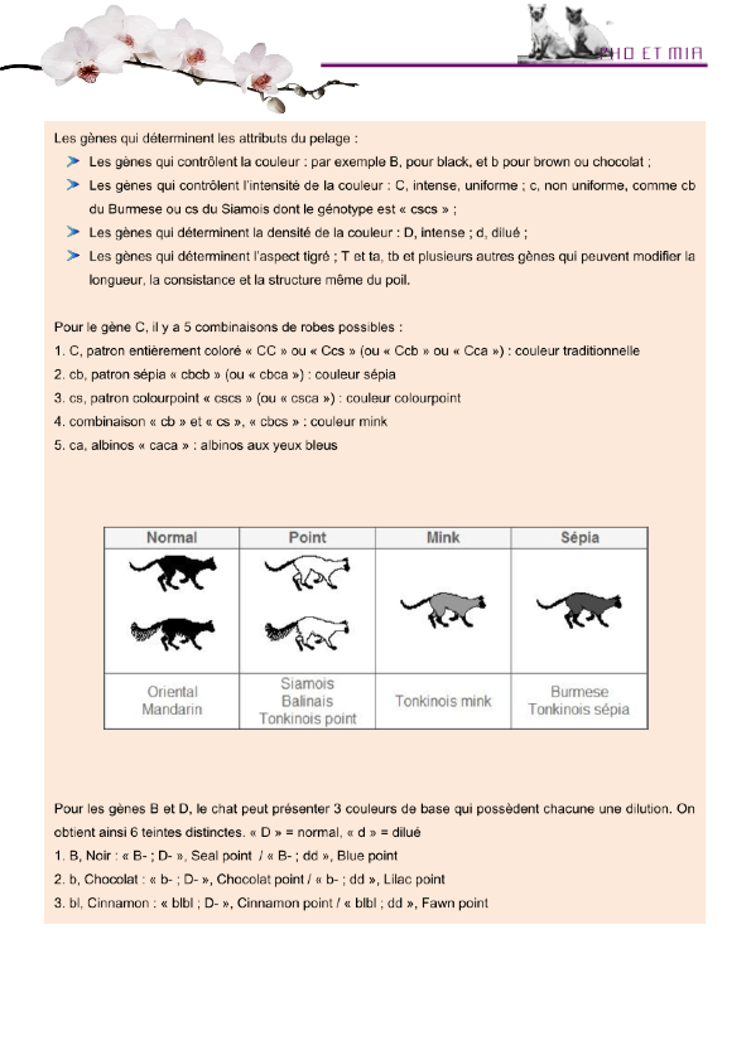 Aperu gntique des couleurs par Anabela (gliss(e)s)