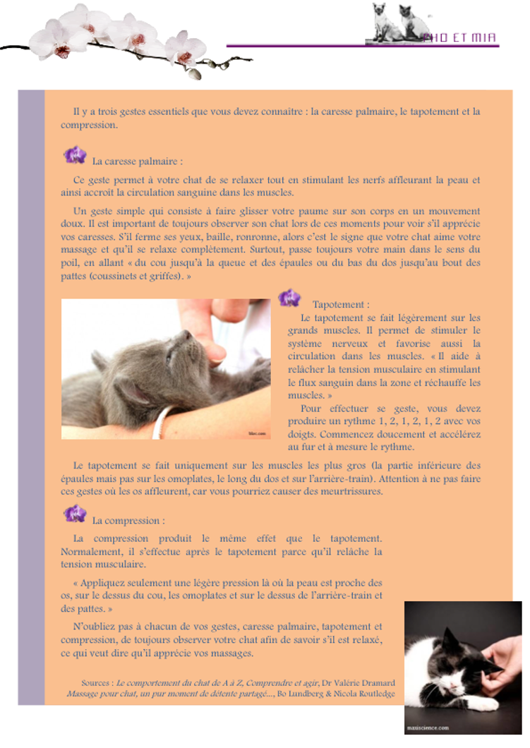 Caresses et Clins par le Dr Valrie Dramard (gliss(e)s)