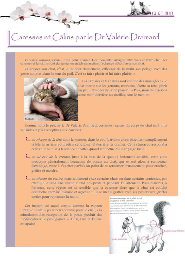 Caresses et Clins par le Dr Valrie Dramard (gliss(e)s)