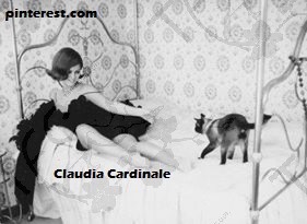 C.Cardinale3