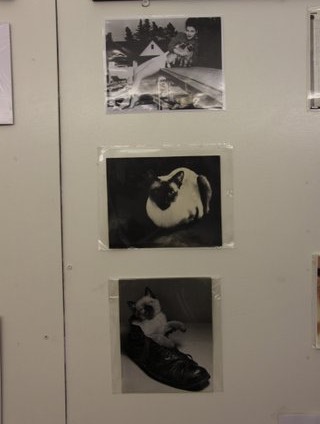 Expo Auribeau 2012 052
