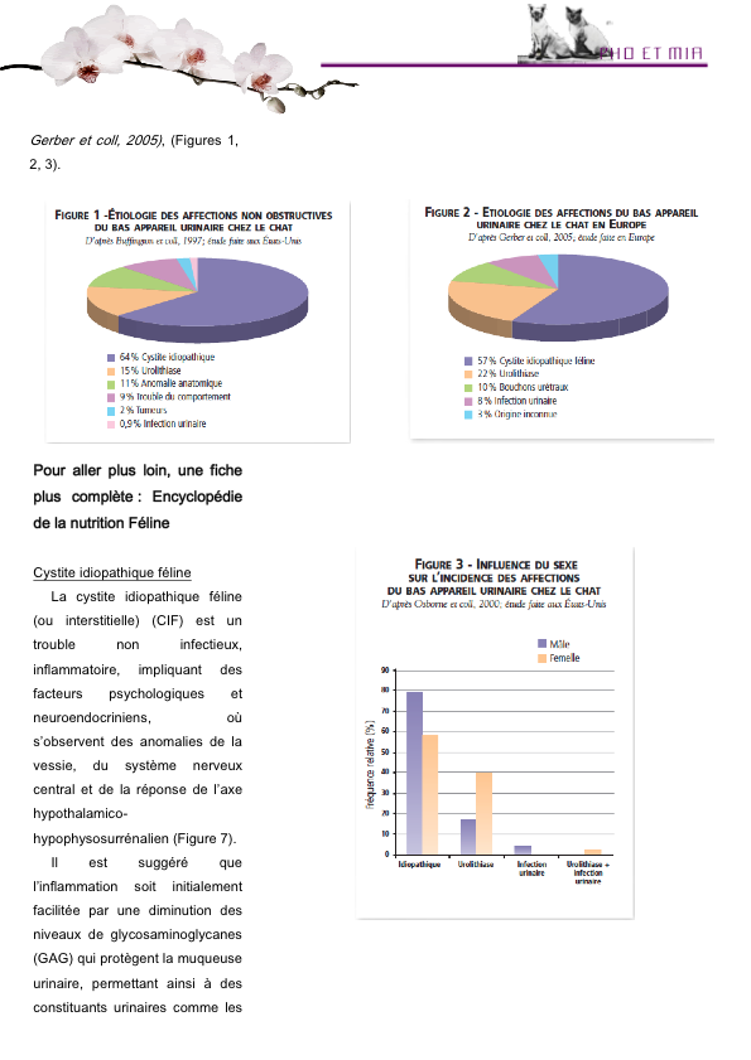 La CIF par Manuella Ferut (gliss(e)s)