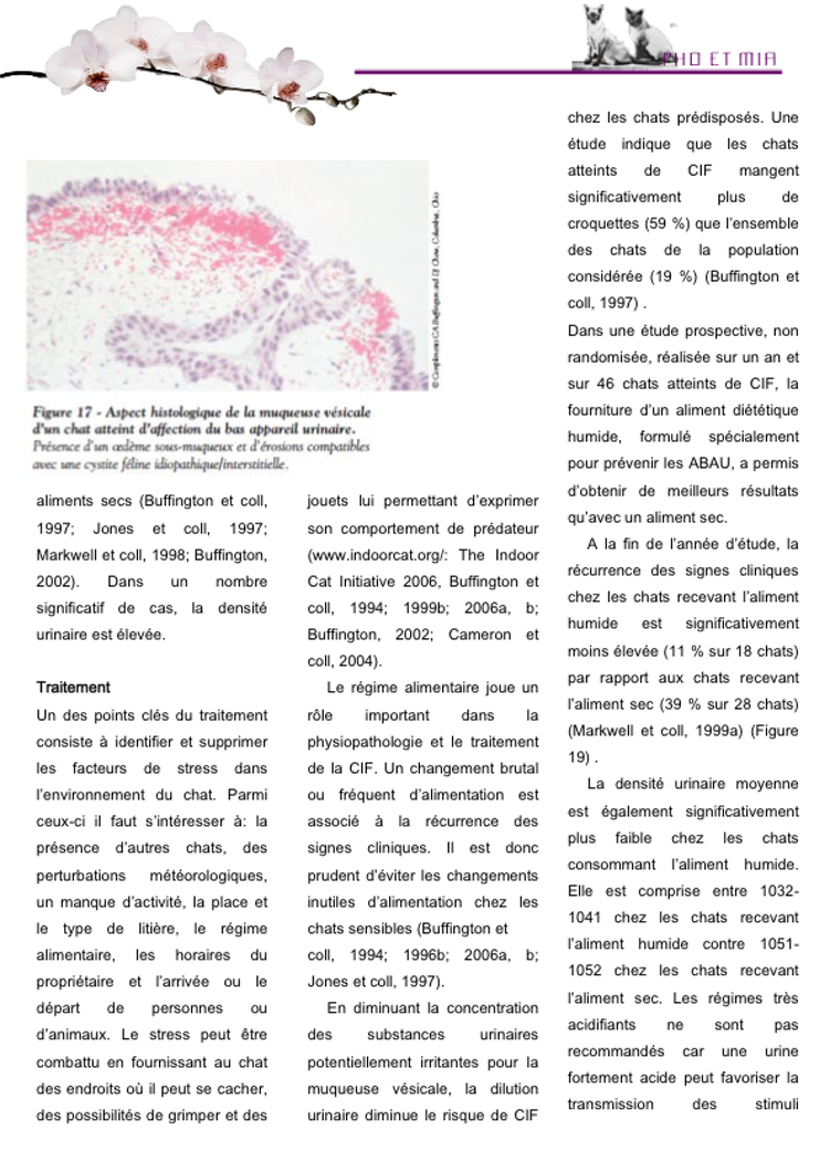 La CIF par Manuella Ferut (gliss(e)s)