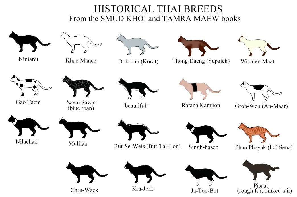 thai-breed-chart